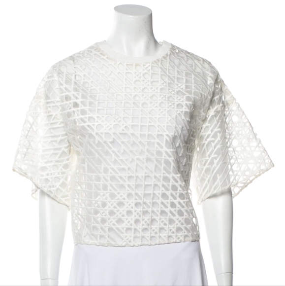 3.1 Phillip Lim Tops - NEW 3.1 Phillip Lim Sheer Top